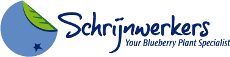 Schrijnwerkers Blueberry